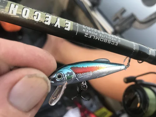 Vista 4 de St. Croix Rods Eyecon - Caña giratoria EYS, elaborada por expertos, versátil y de alto rendimiento