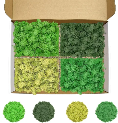 Vista 20 de Musgo de reno azul de 3.5 onzas, musgo preservado para plantas, decoración de musgo, musgo verde para manualidades, musgo para plantas en maceta