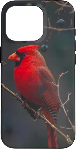 Vista 20 de Funda para iPhone 16 Cardinal Bird