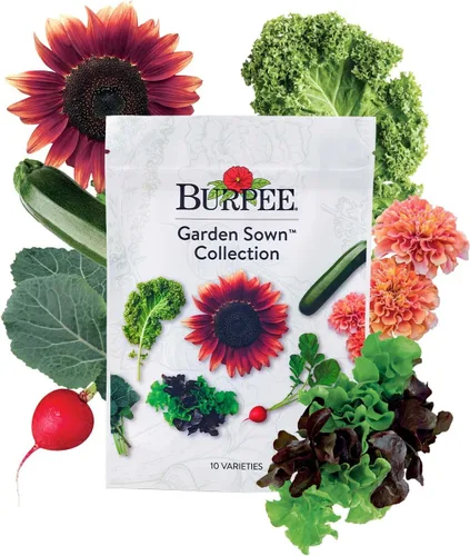 Vista 11 de Colección Burpee Best 10 Paquetes de Mezcla Fresca Sin OGM de Pimiento Picante y Variedades Dulces Jalapeño, Semillas de Pimiento Morrón y Más