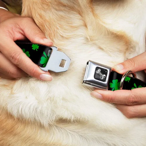 Vista 8 de Buckle-Down Collar de perro Hebilla de cinturón de seguridad St Pats Clovers Scattered2 Negro Verde Multicolor, DC-W34594-S, 1 pulgada de ancho - se
