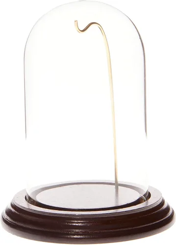Vista 6 de Plymor Cúpula de cristal para reloj de 3 x 5 pulgadas (base de chapa de madera negra y cable dorado)