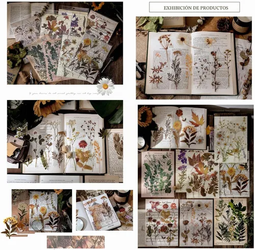 Vista 3 de Maxleaf Calcomanías de la Serie Botánica, 80 Calcomanías Grandes de Flores Secas Impermeables Transparentes, Calcomanías Florales de Plantas