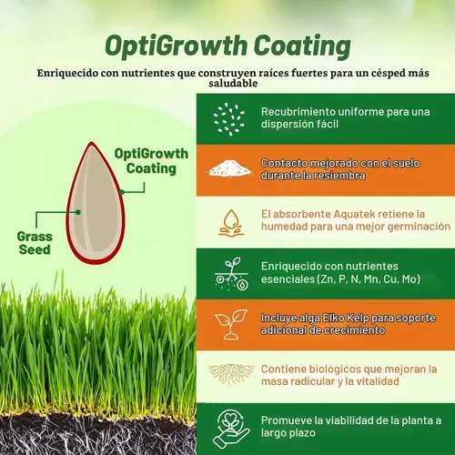 Vista 4 de Outsidepride Combat Extreme Northern Zone – 10 libras resistente al frío, resistente a la sequía, tipo festuca alta y mezcla de semillas de césped