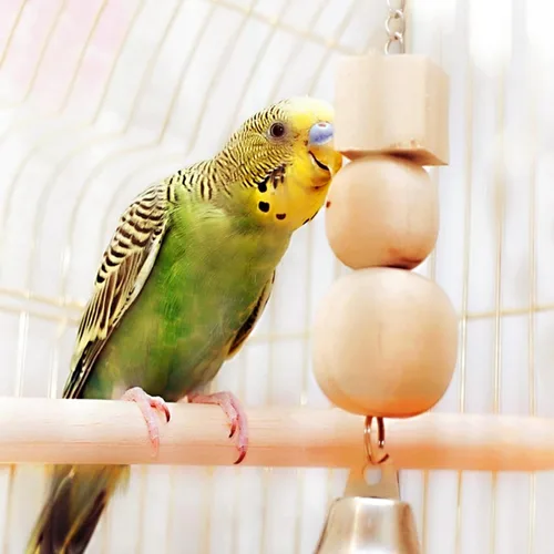 Vista 7 de 2 perchas para pájaros para jaula de madera para loros, percas de loro, juguetes de perca de madera con diferentes anchos, jaulas de pájaros