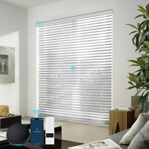 Vista 11 de ZSTARR Shangri-La Motorized - Persianas enrollables para ventana con filtro de luz, compatibles con control remoto Alexa Google, persianas