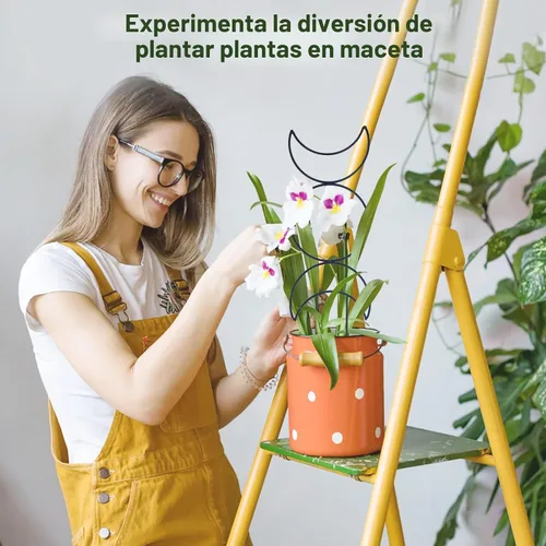 Vista 5 de Wellsign Enrejado de plantas de interior para plantas trepadoras, enrejado de metal de jardín pequeño de 16 pulgadas para plantas en macetas al aire