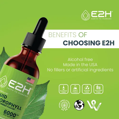 Vista 6 de E2H - Gotas líquidas de clorofila, estimulante de energía natural, apoyo al sistema inmunológico y desodorante interno, sabor a menta, 2 onzas