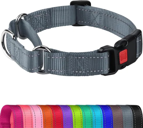Vista 16 de Joytale Collar Martingale para perros, reflectante resistente para mayor seguridad, hebilla de liberación rápida, collares de nailon ajustables
