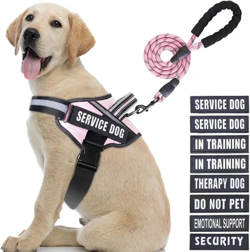 Vista 39 de Juego de Chaleco y Correa para Perro de Servicio, Arnés de Entrenamiento Animire para Perro con 10 Parches para Perros, Correa Reflectante