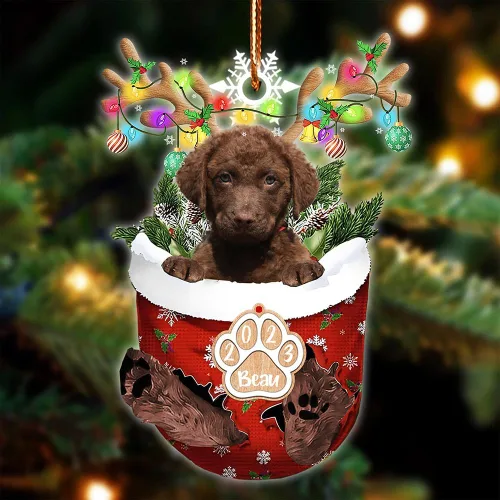 Vista 80 de NAZENTI Adorno Navideño de Bolsillo Personalizado de Affenpinscher en la Nieve, Adorno de Forma Acrílica de Perro, Adorno de Navidad 2023, Adorno