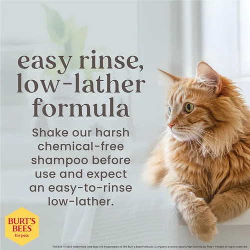 Vista 4 de Burt's Bees for Pets Champú hipoalergénico para gatos con manteca de karité y miel, fórmula suave para gatos de interior con piel seca o sensible