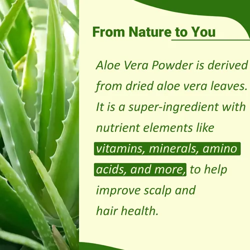 Vista 2 de minature 100% aloevera en polvo (Aloe Barbadenis) 3.53 oz (3.5 onzas) Polvo de hoja de aloe vera puro Hazlo tú mismo para la piel, la salud
