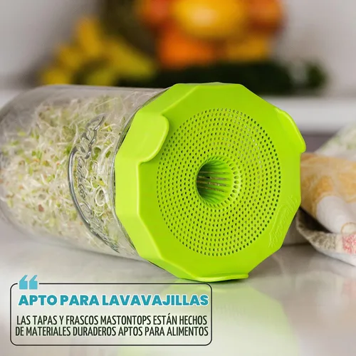Vista 6 de Masontops Mason Jar - Juego de iniciación de tarro de germinación de frijoles, kit de brotes de frijoles fácil de bricolaje con semillas orgánicas
