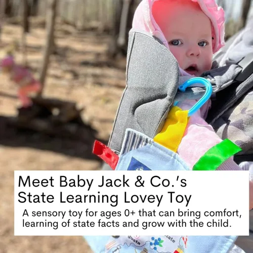 Vista 2 de Baby Jack & Co - Cochecito de juguete para bebés de 8 x 8 pulgadas con etiqueta del estado de Arkansas, juguetes arrugados para desarrollar cinco
