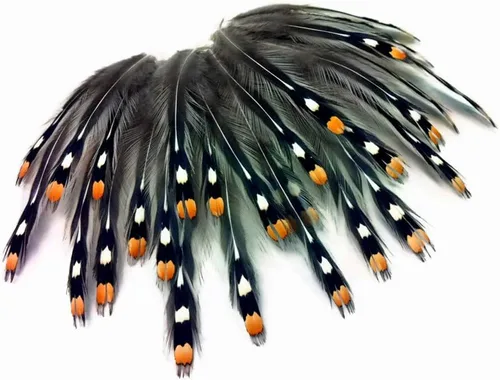 Vista 6 de Moonlight de plumas, plumas sueltas – 10 piezas – Natural plumas de oro Jungle Cock Loose Ojo grande