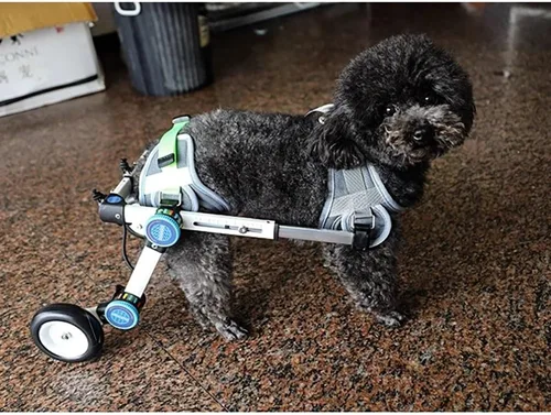Vista 2 de Silla de ruedas para perros para patas traseras, silla de ruedas ajustable para perros pequeños y medianos, carrito de movilidad de aluminio ligero