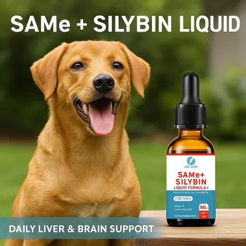 Vista 2 de SAMEe - Gotas líquidas para perros, 500 mg iguales con silibina, soporte hepático de 1 oz Bacon Liver Flavored Liver Support Supplement for Dogs