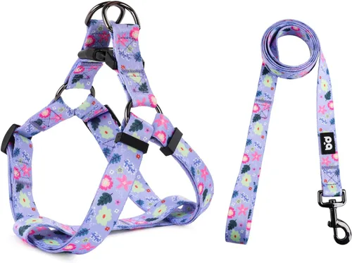 Vista 29 de QQPETS Juego de correa de arnés para perro, ajustable, resistente, sin tirones, arnés halter para perros de razas pequeñas, medianas y grandes, clip