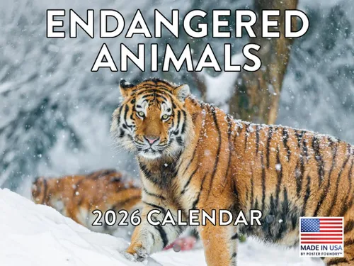 Vista 71 de Calendario mensual de pared de alpaca 2025 Fabricado en Estados Unidos