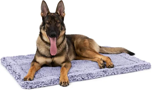 Vista 22 de PELZIN Stoutwool - Cama indestructible para perros, almohadilla mullida a prueba de masticados, almohadilla resistente para masticadores agresivos