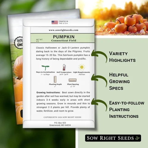 Vista 2 de Sow Right Seeds - Semillas de calabaza de campo de Connecticut para plantar - Paquete de reliquia sin OMG con instrucciones para plantar un huerto