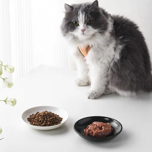 Vista 7 de Juego de 4 cuencos de cerámica para gatos – Paquete de 4 platos saludables y anchos para gatos poco profundos para comida y agua, cuencos antifatiga