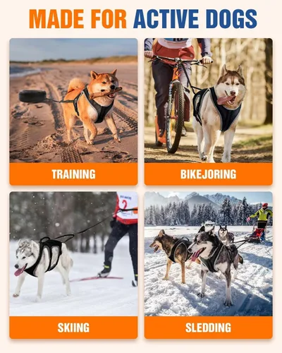 Vista 7 de Juego de arnés para correr para perros con cinturón y correa de absorción de golpes Hands-Free Control, Easy to Put On Design for Medium to Large