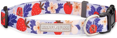 Vista 12 de Lucky Love Dog - Collar para perras pequeñas, diseño Blackbird de estampado alegre con flores de primavera y verano, talla XS Collar Blackbird
