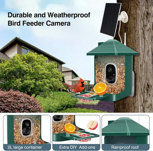 Vista 3 de Alimentador inteligente solar del pájaro con la cámara, alimentador del Verde + Sin Tarjeta