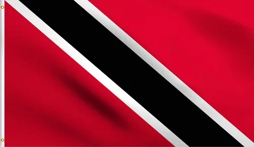 Vista 182 de DMSE - Bandera nacional beninesa beninesa de la República de África Occidental, 2 x 3 pies, 100 % poliéster, 100 % poliéster, resistente a los rayos