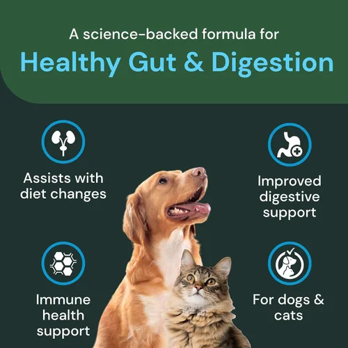 Vista 4 de VetriScience Veterinary Strength intestinal saludable y digestión, 60