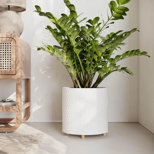 Vista 5 de EverNest Claire Modern Maceta de interior con soporte de madera, patrón blanco, 8 pulgadas, SelectBase, estilo moderno neutro de mediados de siglo
