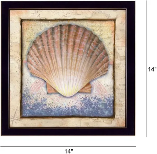 Vista 3 de Shell" de Ed Wargo, arte de pared impreso, póster enmarcado listo para colgar, marco negro
