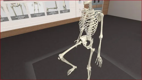 Vista 6 de 3D Organon VR Anatomy - Instant Access