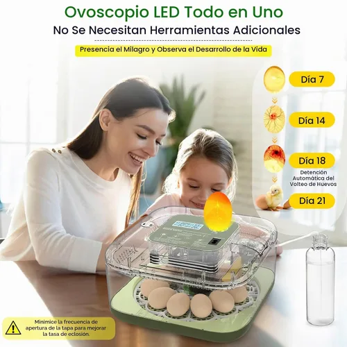 Vista 6 de Incubadora de 12 huevos con giro automático, recarga automática de agua y control de temperatura/humedad, además de guía de eclosión, criador