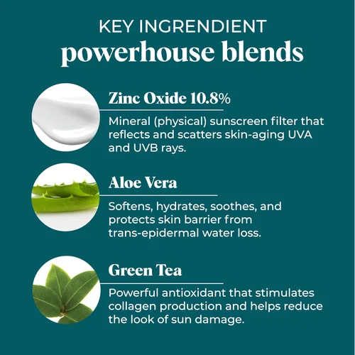 Vista 2 de VI Derm Protector solar de defensa UV diaria SPF 50 - Protector solar de amplio espectro para rostro y cuerpo - Protector de cuidado de la piel