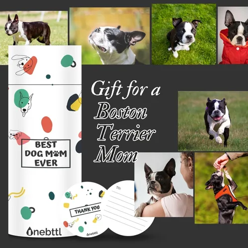 Vista 7 de Onebttl Boston Terrier - Regalos para mujeres, madres de perros, amantes de los perros, vaso delgado de 20 onzas con tapa y popote para Navidad