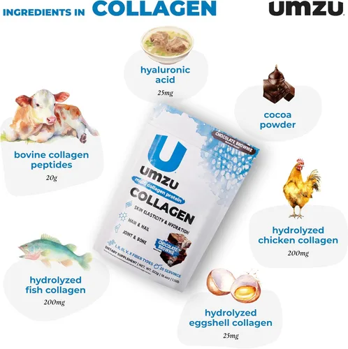 Vista 3 de UMZU zuCollagen - Polvo de proteína de colágeno múltiple, chocolate – 5 tipos de colágeno I II III V X – Suplemento alto en proteínas bajo