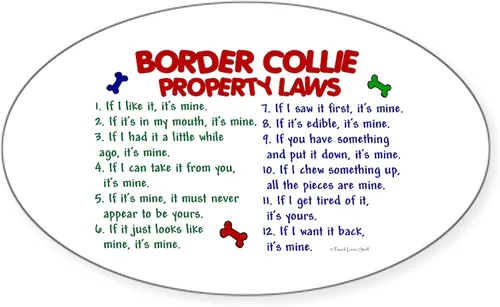 Vista 4 de CafePress Border Collie Property Laws 2 - Pegatina ovalada para parachoques de coche