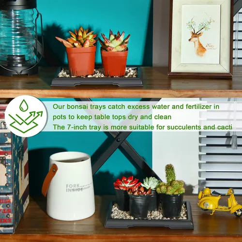 Vista 4 de Pinkunn 2 Piezas Bandeja de Humedad para Bonsái Bandeja de Goteo Plásticas Captador de Agua para Plantas Platillos para Interiores y Exteriores