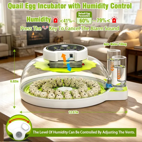 Vista 5 de Incubadora de huevos de codorniz con girador automático y control de humedad, incubadora de aves capaz de incubar 40 huevos de codorniz, incubadoras