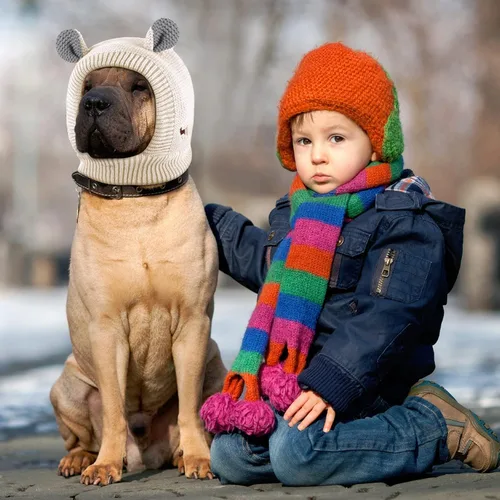 Vista 6 de Orejeras silenciosas para perros, cuello de 14.96 pulgadas, protectores auditivos para perros, protección contra ruido, gorro de punto envolvente