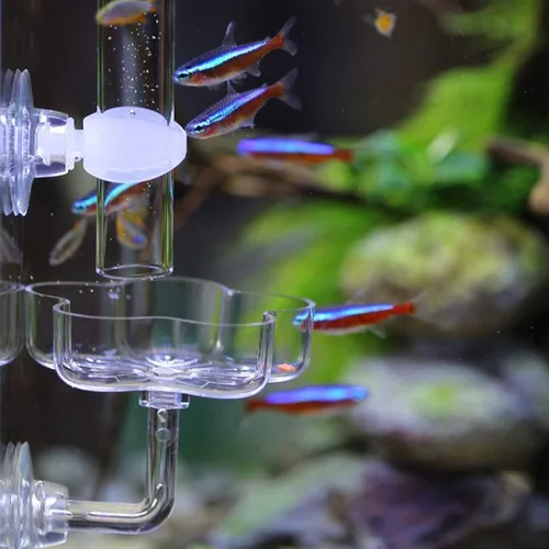 Vista 4 de Kit de plato de alimentación y tubo de alimentación para peces pequeños de camarones de acuario, incluye tubo de alimentación de vidrio, plato