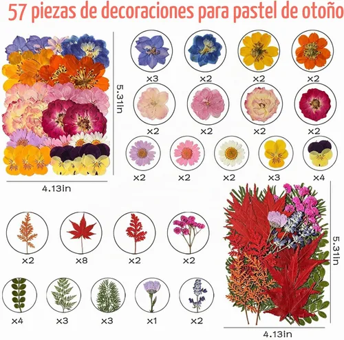 Vista 5 de Decoraciones para tartas de otoño, flores prensadas, hojas de arce