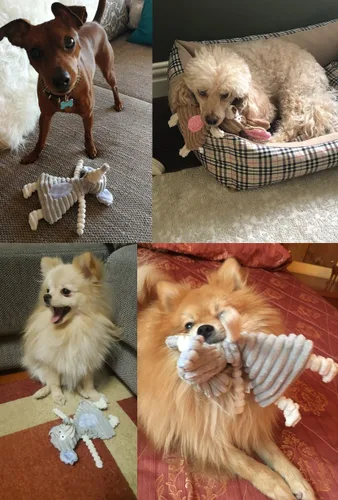 Vista 3 de Comtim Juguetes para perros sin relleno con chirriador, juguetes duraderos para masticar, perros pequeños y cachorros, conejo y elefante