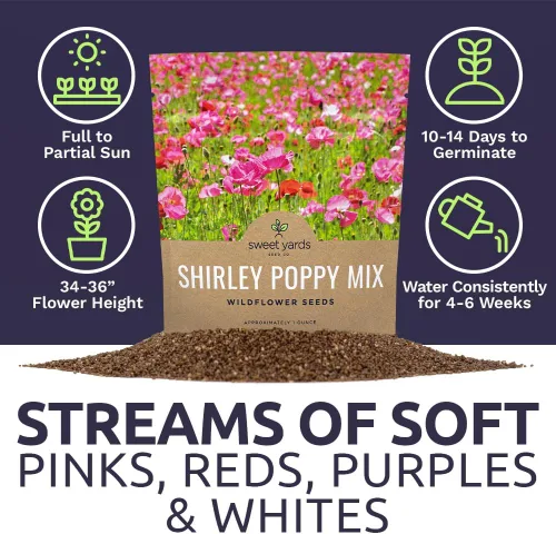 Vista 6 de Shirley - Semillas de amapola - Colores mezclados - Paquete extra grande - Más de 200,000 semillas de flores silvestres polinizadas abiertas sin OMG