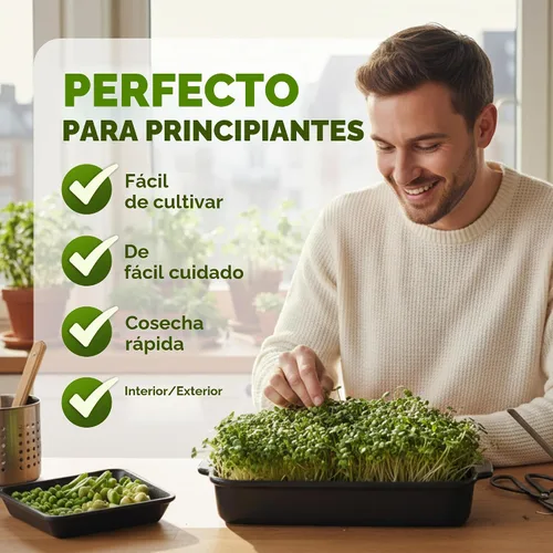 Vista 4 de Nature Jims Sprouts Semillas de alfalfa – Kit de cultivo de brotes orgánicos sin OMG para plantar – Bolsa resellable premium para semillas frescas