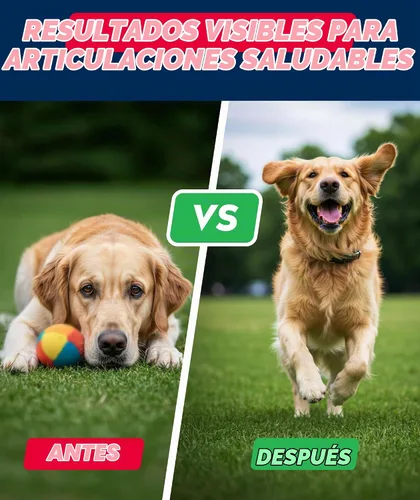 Vista 6 de Glucosamina avanzada para perros, condroitina y MSM suplemento masticable para articulaciones de cadera