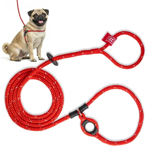 Vista 24 de Harness Lead Juego de arnés y correa para perro sin tirones, arnés antitirones para todas las razas y tamaños, diseño de cuerda acolchada de una